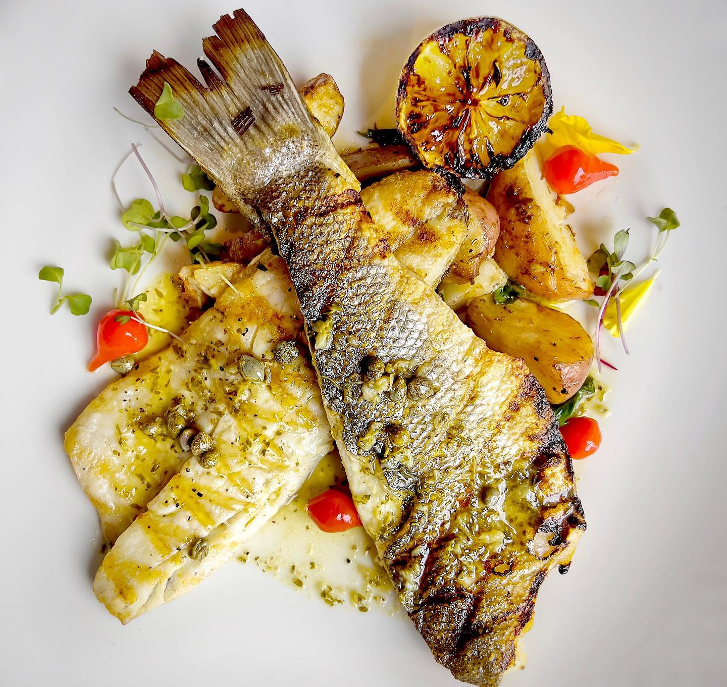 The 9 Best Restaurants in Doral Dish Miami